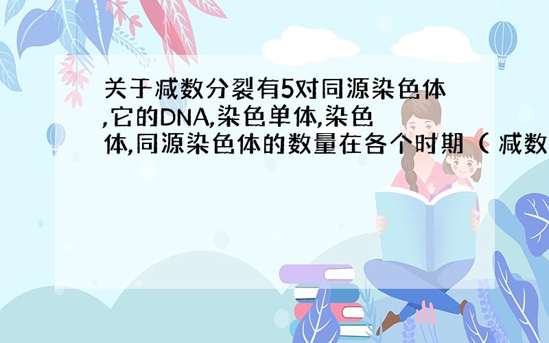 关于减数分裂有5对同源染色体,它的DNA,染色单体,染色体,同源染色体的数量在各个时期（ 减数第一次分裂 前中后末 期,