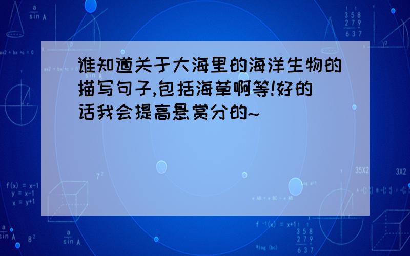 谁知道关于大海里的海洋生物的描写句子,包括海草啊等!好的话我会提高悬赏分的~