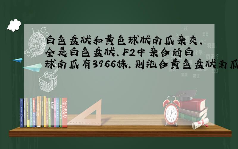 白色盘状和黄色球状南瓜杂交,全是白色盘状,F2中杂合的白球南瓜有3966株,则纯合黄色盘状南瓜有（）