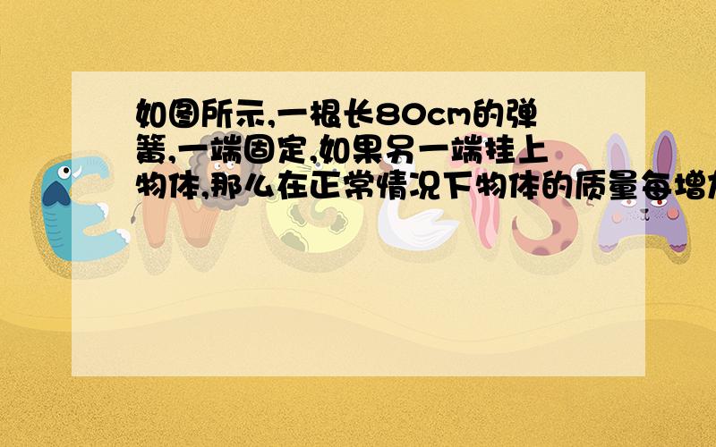 如图所示,一根长80cm的弹簧,一端固定,如果另一端挂上物体,那么在正常情况下物体的质量每增加1kg,可使弹簧