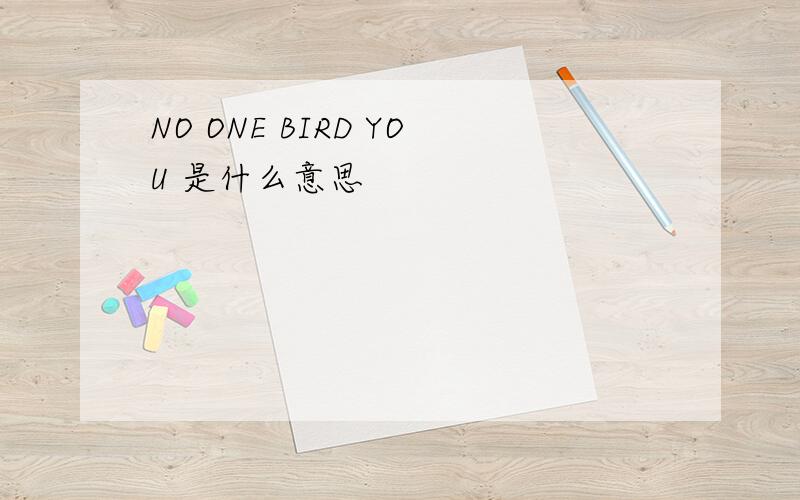 NO ONE BIRD YOU 是什么意思