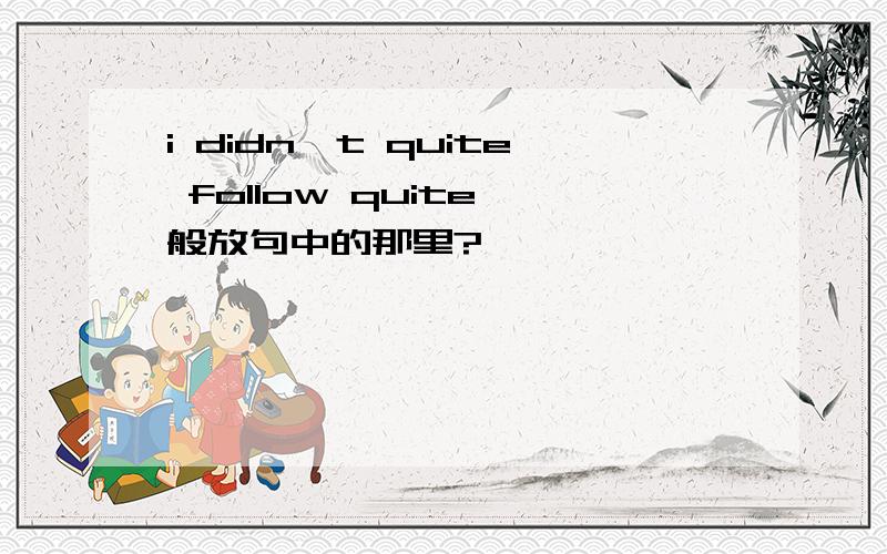 i didn't quite follow quite一般放句中的那里?