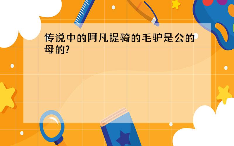 传说中的阿凡提骑的毛驴是公的母的?