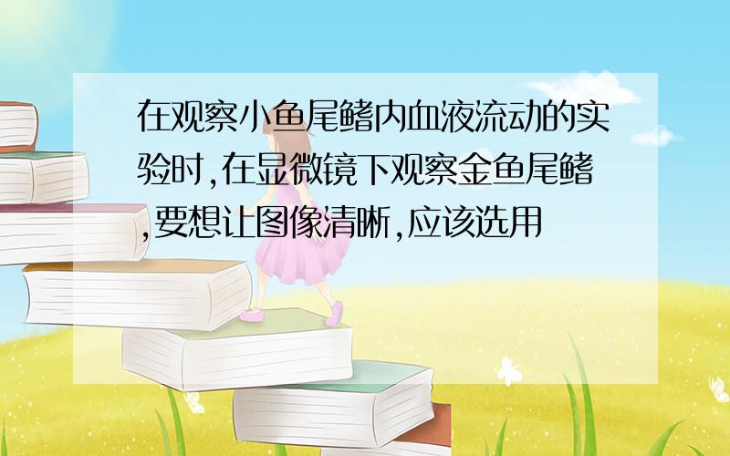 在观察小鱼尾鳍内血液流动的实验时,在显微镜下观察金鱼尾鳍,要想让图像清晰,应该选用