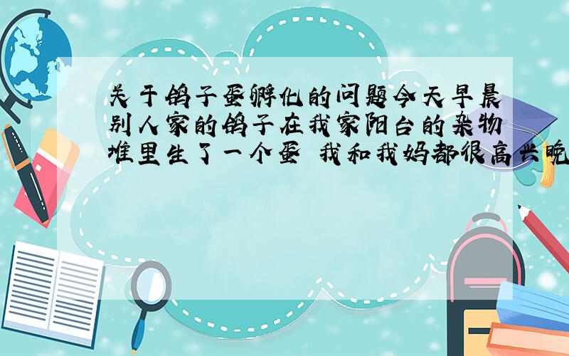 关于鸽子蛋孵化的问题今天早晨别人家的鸽子在我家阳台的杂物堆里生了一个蛋 我和我妈都很高兴晚上下雨了 想给它搭个棚子 但是