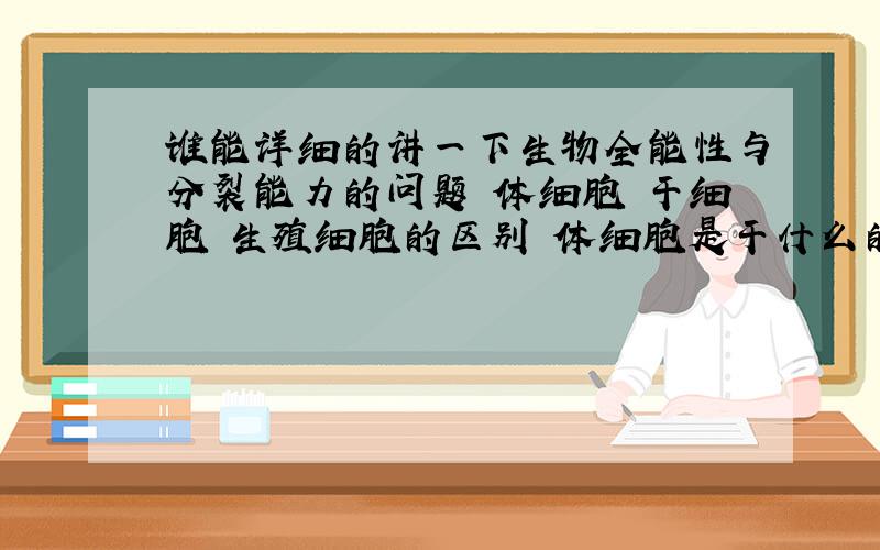 谁能详细的讲一下生物全能性与分裂能力的问题 体细胞 干细胞 生殖细胞的区别 体细胞是干什么的