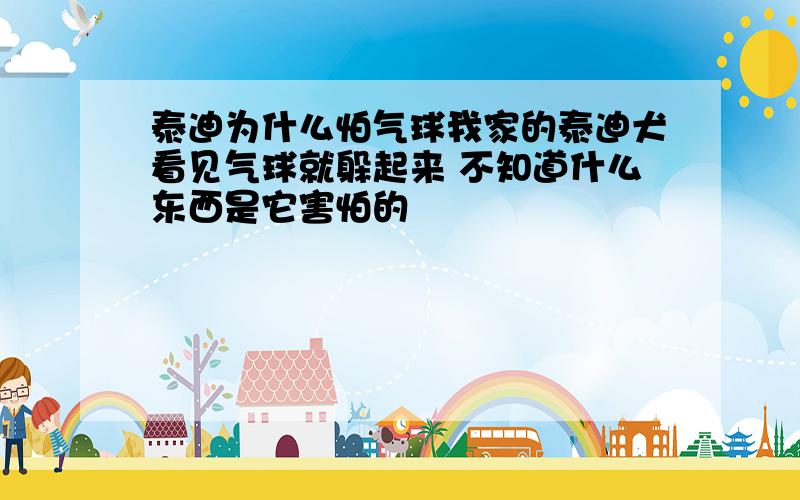 泰迪为什么怕气球我家的泰迪犬看见气球就躲起来 不知道什么东西是它害怕的