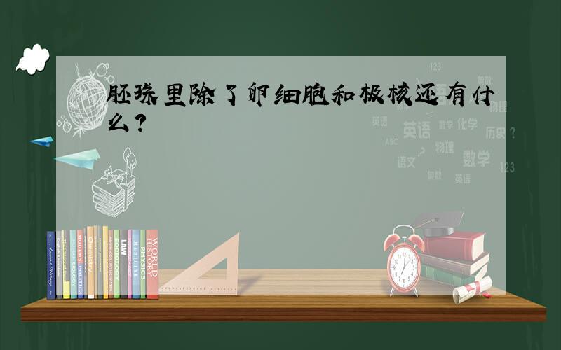 胚珠里除了卵细胞和极核还有什么?