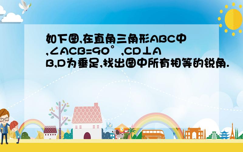 如下图,在直角三角形ABC中,∠ACB=90°,CD⊥AB,D为垂足,找出图中所有相等的锐角.