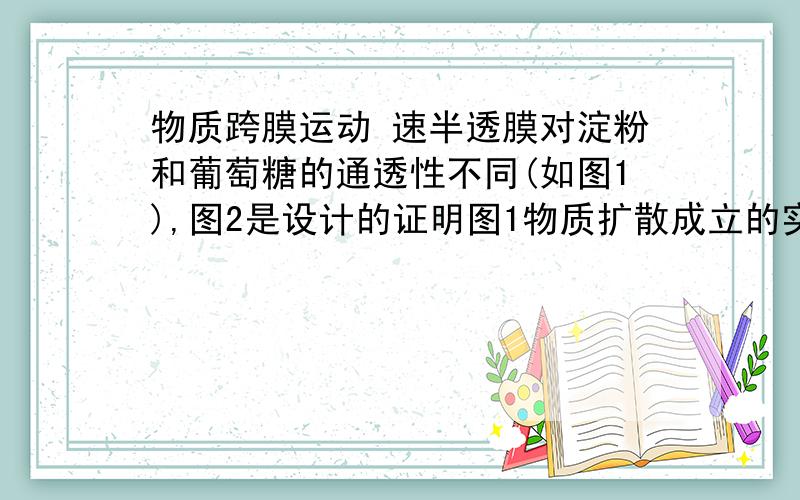 物质跨膜运动 速半透膜对淀粉和葡萄糖的通透性不同(如图1),图2是设计的证明图1物质扩散成立的实验装置(开始液面相平）下