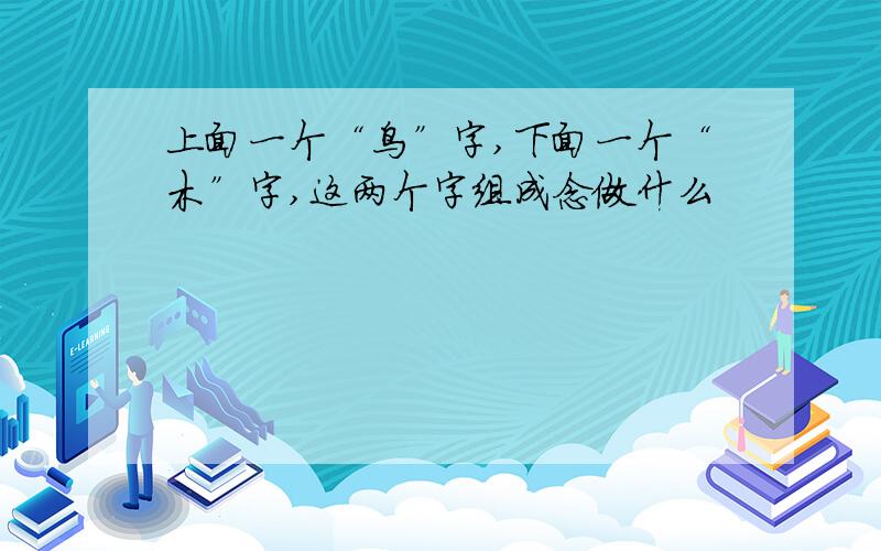 上面一个“鸟”字,下面一个“木”字,这两个字组成念做什么