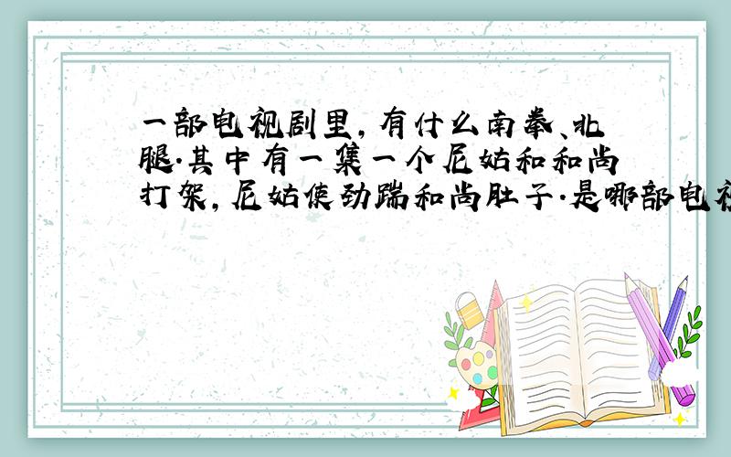 一部电视剧里,有什么南拳、北腿.其中有一集一个尼姑和和尚打架,尼姑使劲踹和尚肚子.是哪部电视剧第几