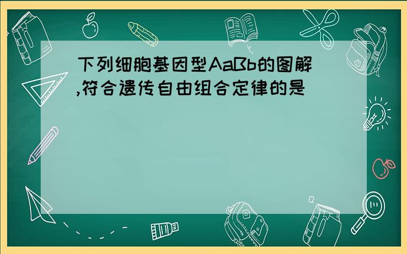 下列细胞基因型AaBb的图解,符合遗传自由组合定律的是