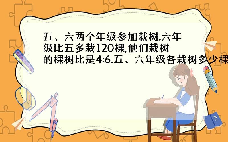 五、六两个年级参加栽树.六年级比五多栽120棵,他们栽树的棵树比是4:6.五、六年级各栽树多少棵?