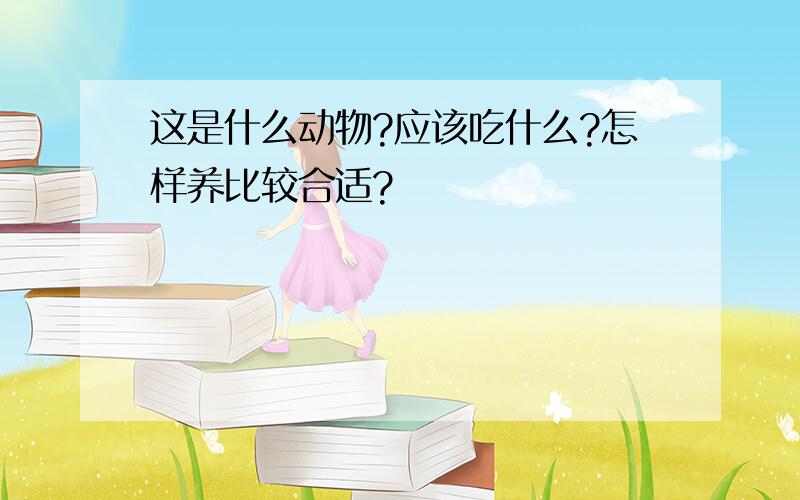 这是什么动物?应该吃什么?怎样养比较合适?