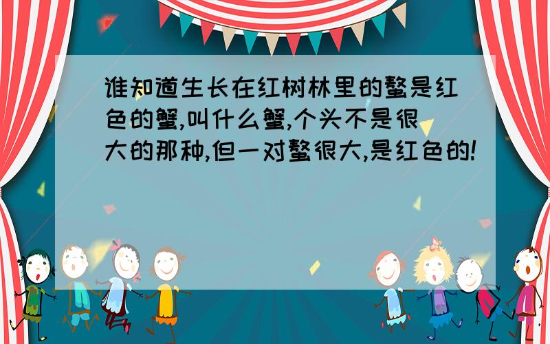 谁知道生长在红树林里的螯是红色的蟹,叫什么蟹,个头不是很大的那种,但一对螯很大,是红色的!