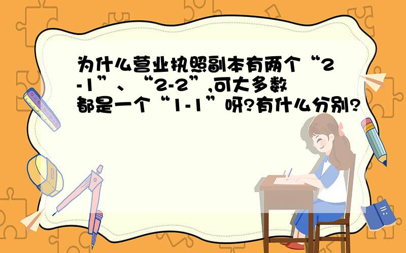 为什么营业执照副本有两个“2-1”、“2-2”,可大多数都是一个“1-1”呀?有什么分别?