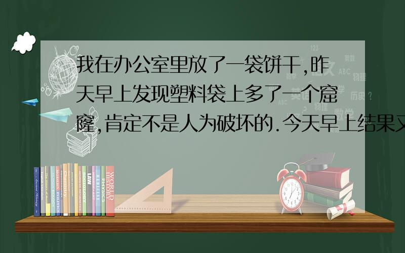 我在办公室里放了一袋饼干,昨天早上发现塑料袋上多了一个窟窿,肯定不是人为破坏的.今天早上结果又多了3个窟窿!以前办公室里