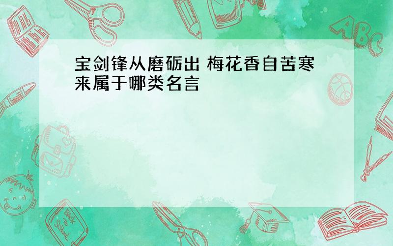 宝剑锋从磨砺出 梅花香自苦寒来属于哪类名言