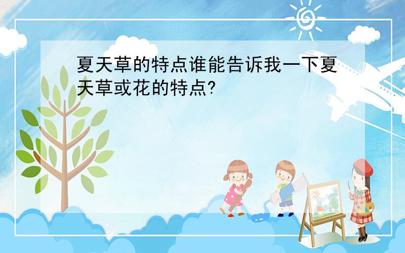 夏天草的特点谁能告诉我一下夏天草或花的特点?