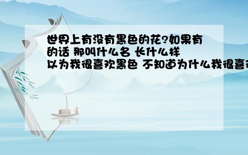 世界上有没有黑色的花?如果有的话 那叫什么名 长什么样 以为我很喜欢黑色 不知道为什么我很喜欢黑色的