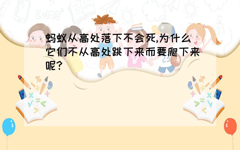 蚂蚁从高处落下不会死,为什么它们不从高处跳下来而要爬下来呢?