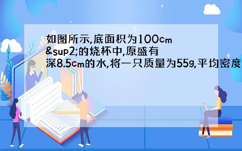 如图所示,底面积为100cm²的烧杯中,原盛有深8.5cm的水,将一只质量为55g,平均密度为1.1×10&s