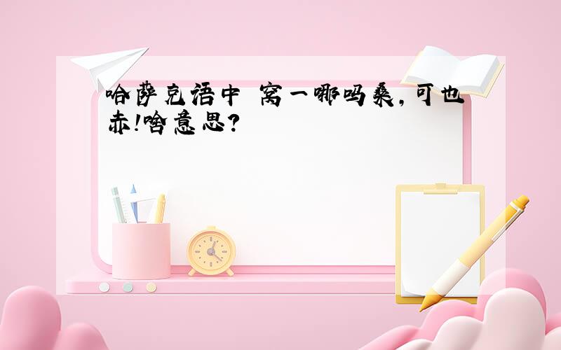 哈萨克语中 窝一哪吗桑,可也赤!啥意思?