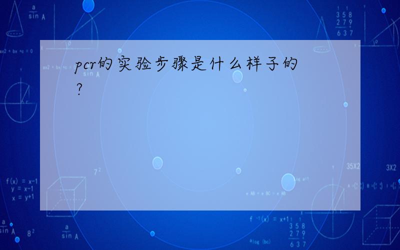 pcr的实验步骤是什么样子的?