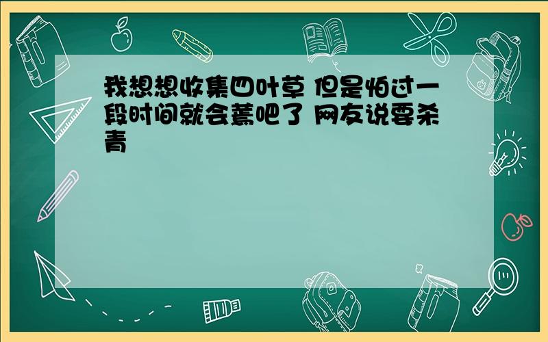 我想想收集四叶草 但是怕过一段时间就会蔫吧了 网友说要杀青