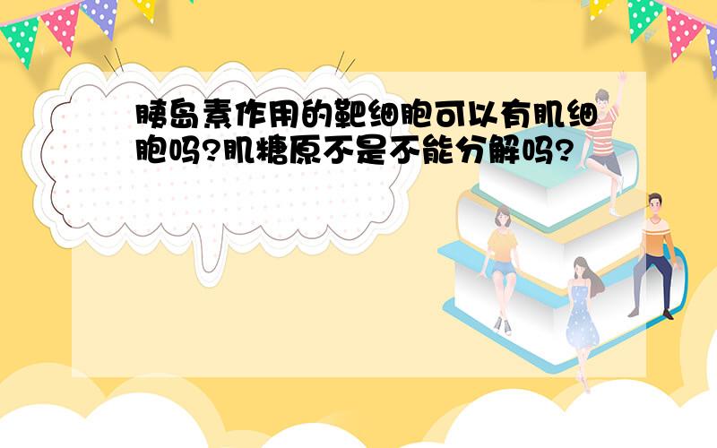 胰岛素作用的靶细胞可以有肌细胞吗?肌糖原不是不能分解吗?