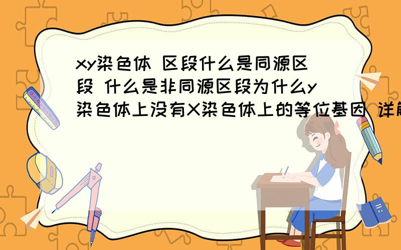 xy染色体 区段什么是同源区段 什么是非同源区段为什么y染色体上没有X染色体上的等位基因 详解好的追加 能答多少答多少