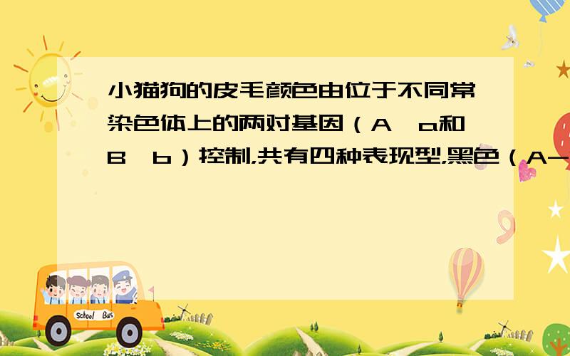 小猫狗的皮毛颜色由位于不同常染色体上的两对基因（A、a和B、b）控制，共有四种表现型，黑色（A-B-）、褐色（aaB-）