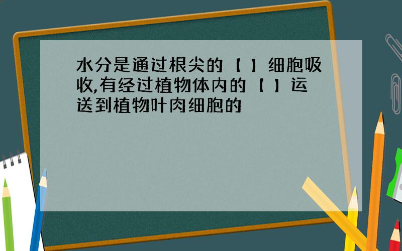 水分是通过根尖的【 】细胞吸收,有经过植物体内的【 】运送到植物叶肉细胞的