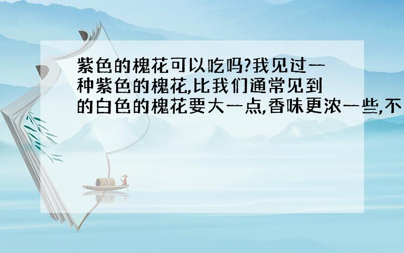 紫色的槐花可以吃吗?我见过一种紫色的槐花,比我们通常见到的白色的槐花要大一点,香味更浓一些,不知能不能吃?