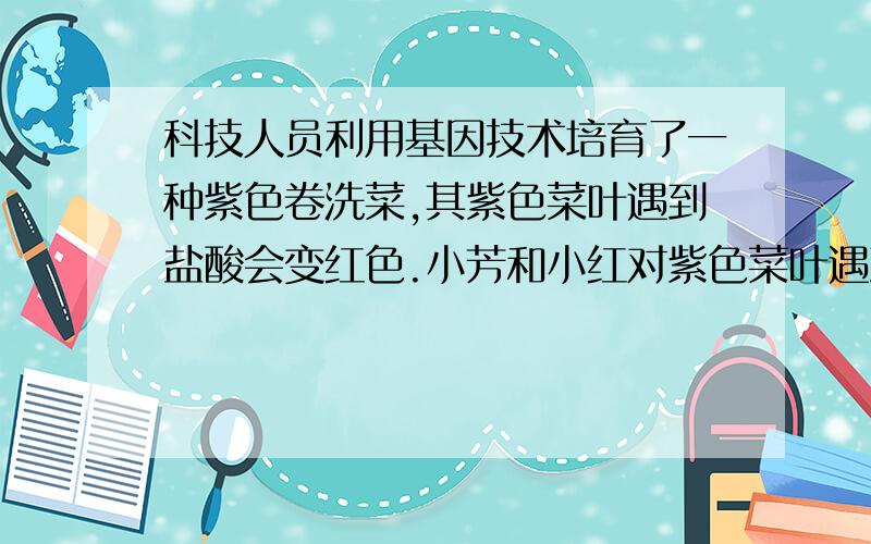 科技人员利用基因技术培育了一种紫色卷洗菜,其紫色菜叶遇到盐酸会变红色.小芳和小红对紫色菜叶遇到盐酸