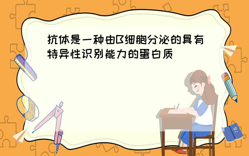 抗体是一种由B细胞分泌的具有特异性识别能力的蛋白质