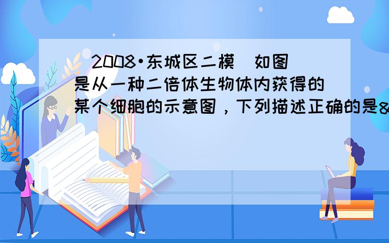 （2008•东城区二模）如图是从一种二倍体生物体内获得的某个细胞的示意图，下列描述正确的是  （