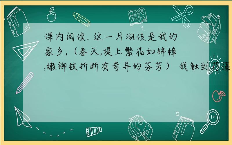 课内阅读. 这一片湖该是我的家乡,（春天,堤上繁花如锦幛,嫩柳枝折断有奇异的芬芳） 我触到荇藻和水的微凉：这长白山的雪峰