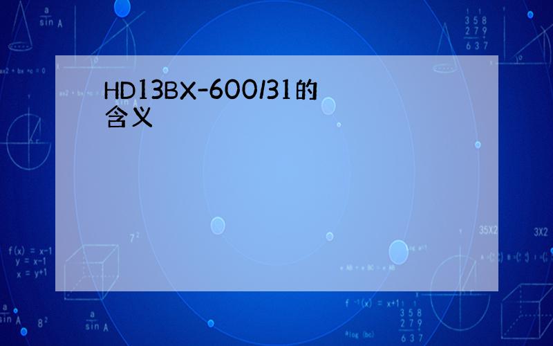 HD13BX-600/31的含义