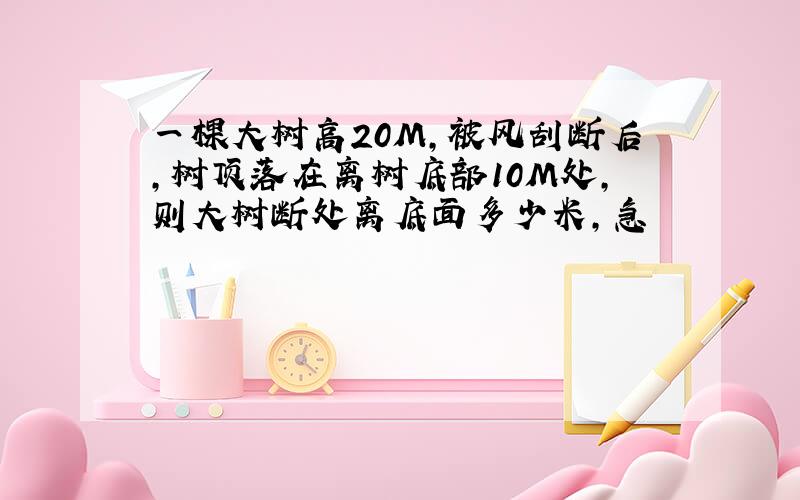 一棵大树高20M,被风刮断后,树顶落在离树底部10M处,则大树断处离底面多少米,急