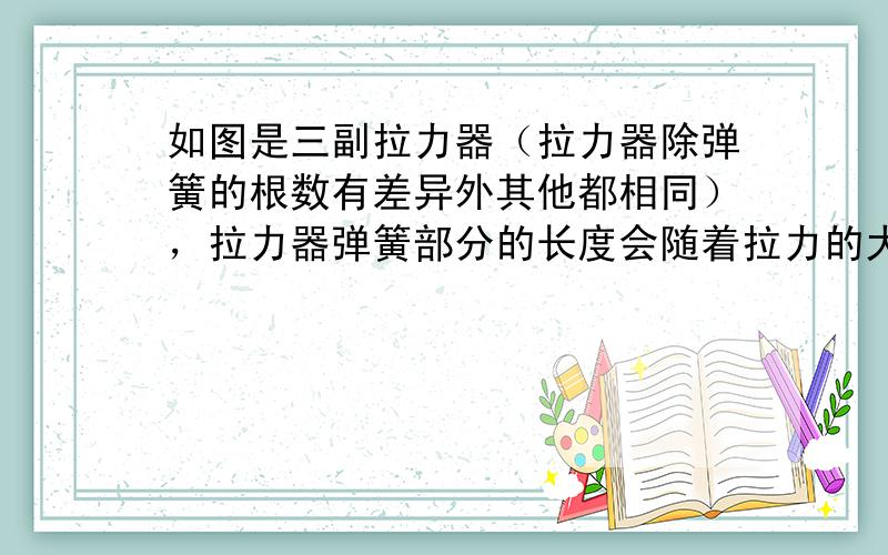 如图是三副拉力器（拉力器除弹簧的根数有差异外其他都相同），拉力器弹簧部分的长度会随着拉力的大小的不同发生变化．自然状态下