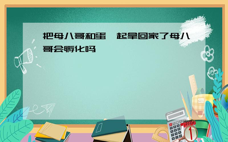 把母八哥和蛋一起拿回家了母八哥会孵化吗