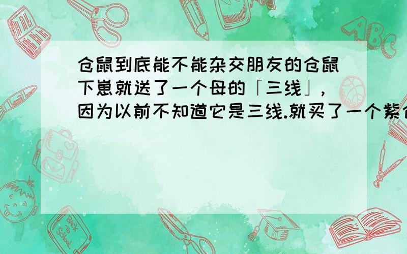 仓鼠到底能不能杂交朋友的仓鼠下崽就送了一个母的「三线」,因为以前不知道它是三线.就买了一个紫仓「公的」.它俩就差一个星期