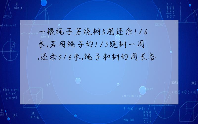 一根绳子若绕树5圈还余1/6米,若用绳子的1/3绕树一周,还余5/6米,绳子和树的周长各