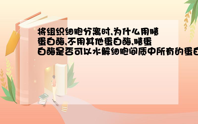 将组织细胞分离时,为什么用胰蛋白酶,不用其他蛋白酶,胰蛋白酶是否可以水解细胞间质中所有的蛋白质