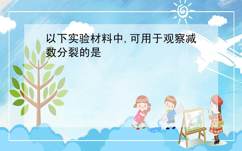 以下实验材料中,可用于观察减数分裂的是