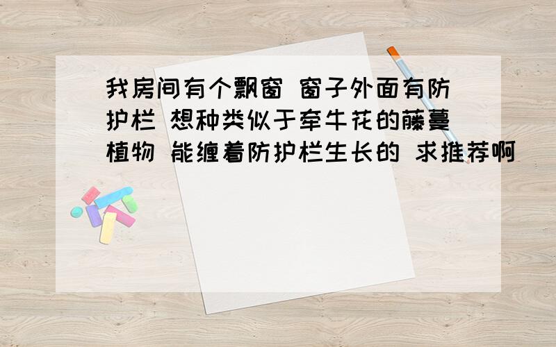 我房间有个飘窗 窗子外面有防护栏 想种类似于牵牛花的藤蔓植物 能缠着防护栏生长的 求推荐啊