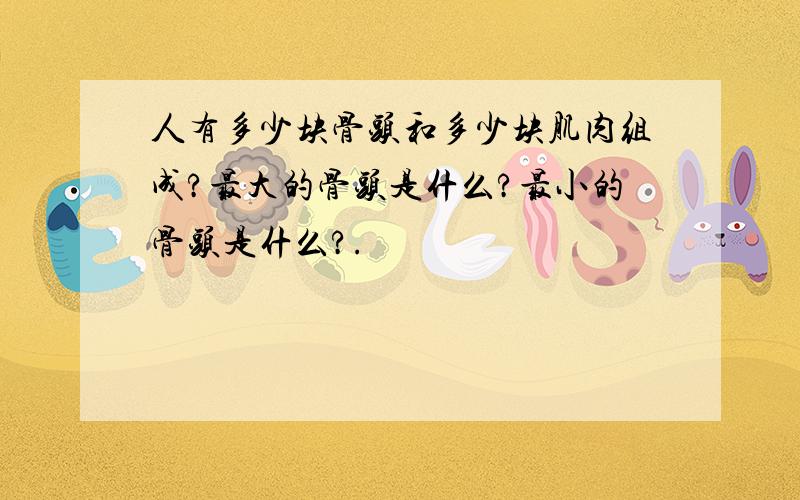 人有多少块骨头和多少块肌肉组成?最大的骨头是什么?最小的骨头是什么?.