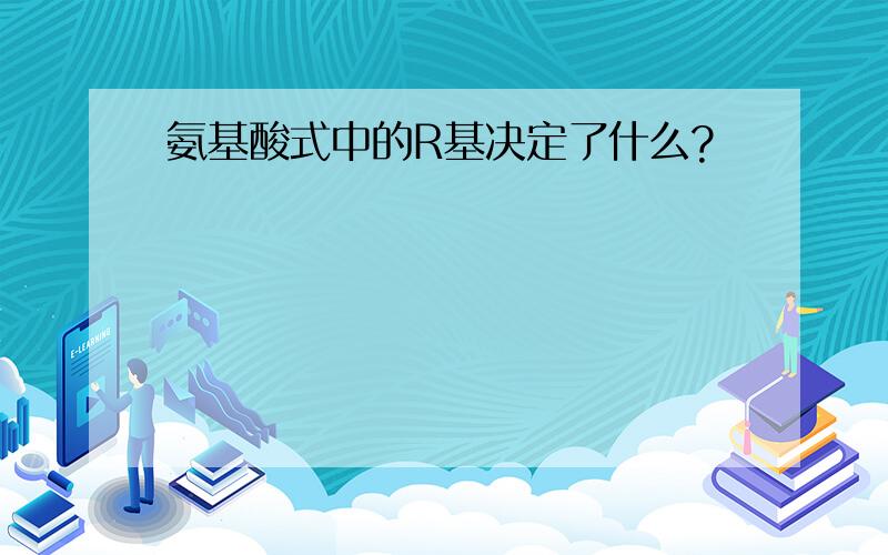 氨基酸式中的R基决定了什么?